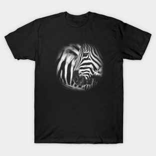 Dazzle of Zebra Stripes T-Shirt